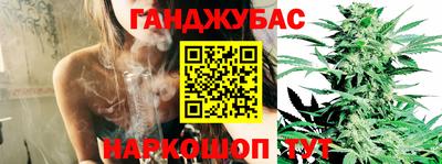 apvp Будённовск