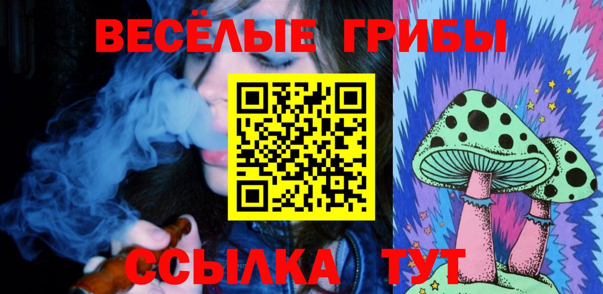 Галлюциногенные грибы ЛСД Новоалтайск